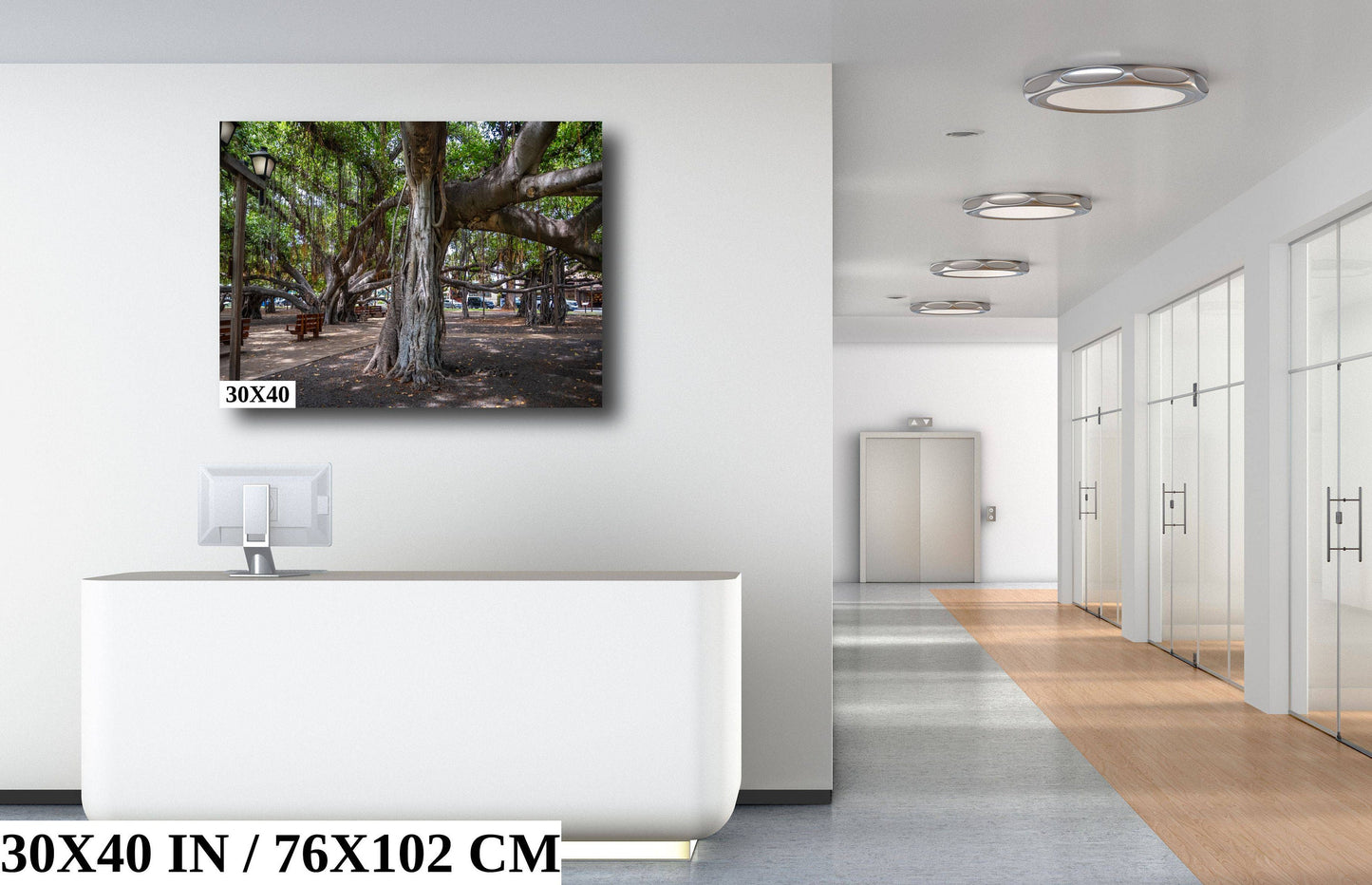Lahaina Banyan Tree Print - Maui Wall Art | Hawaii Nature Decor Canvas