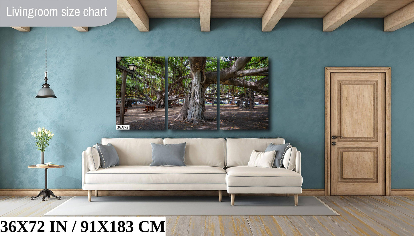 Lahaina Banyan Tree Print - Maui Wall Art | Hawaii Nature Decor Canvas