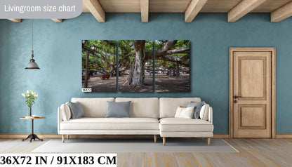 Lahaina Banyan Tree Print - Maui Wall Art | Hawaii Nature Decor Canvas