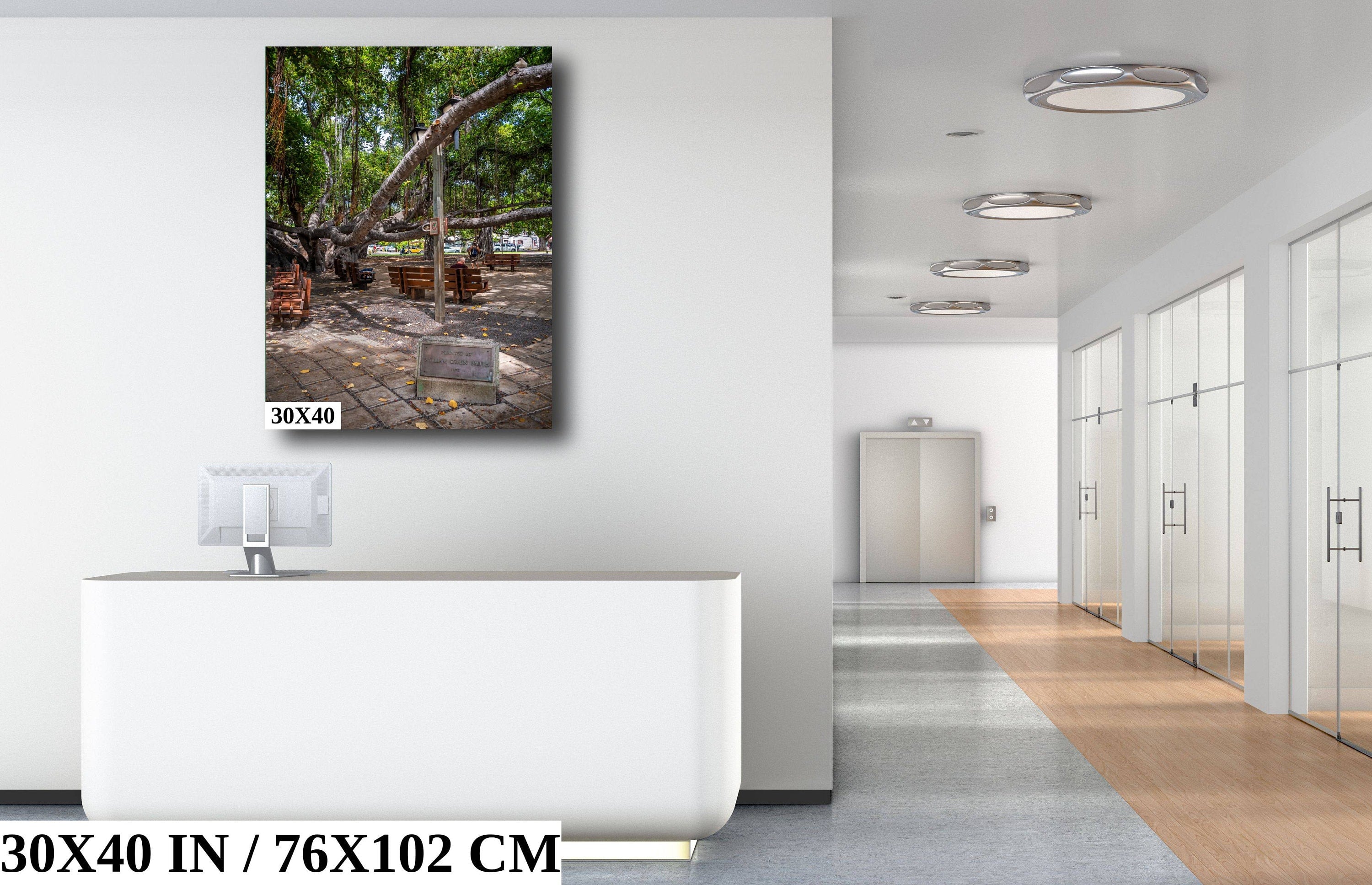 Nature's Canopy: Banyan Tree Print Wall Art Lahaina Hawaii Portrait Maui Photography