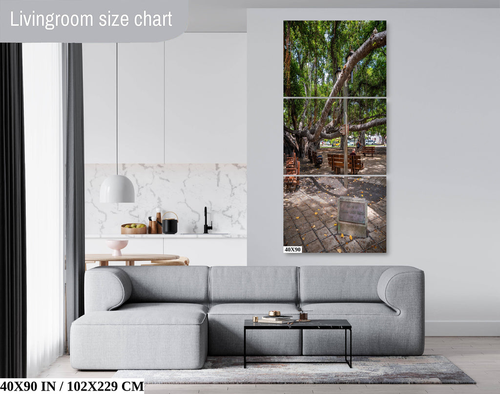 Nature's Canopy: Banyan Tree Print Wall Art Lahaina Hawaii Portrait Maui Photography
