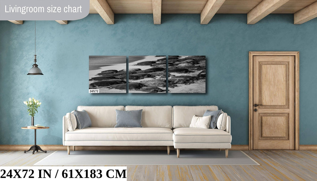 Maui Turtles Photography Print: Black and White Ocean Wall Art