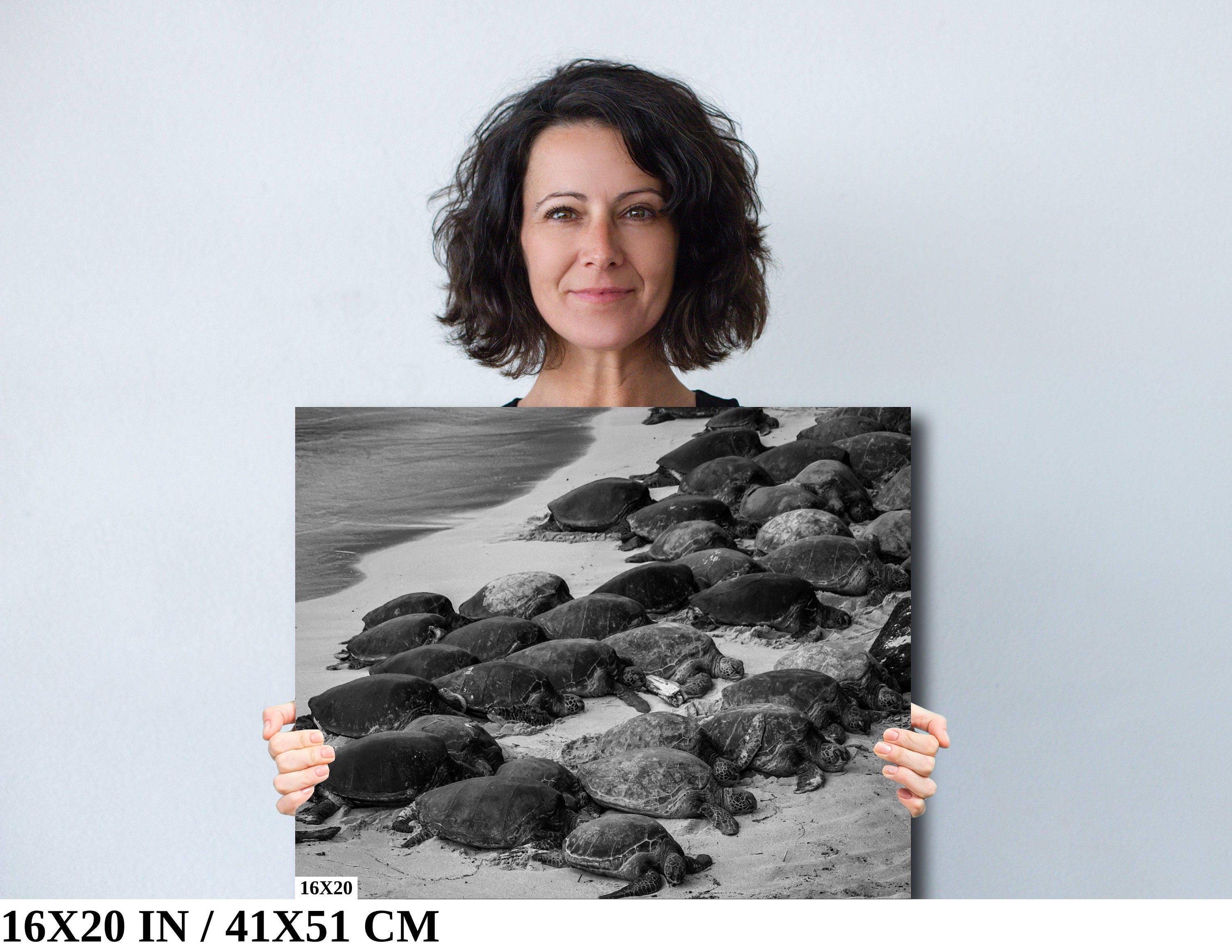 Maui Turtles Photography Print: Black and White Ocean Wall Art