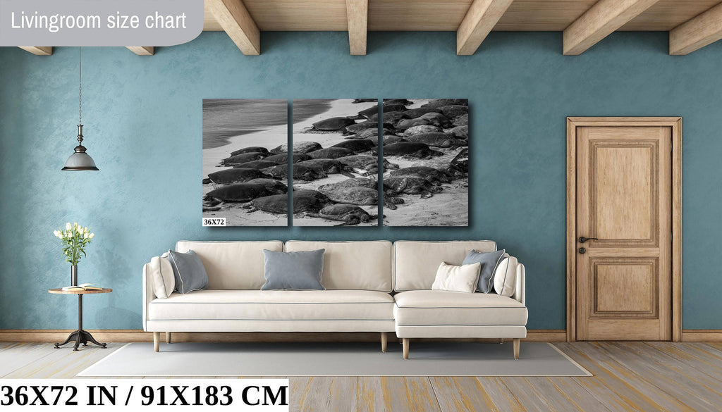 Maui Turtles Photography Print: Black and White Ocean Wall Art