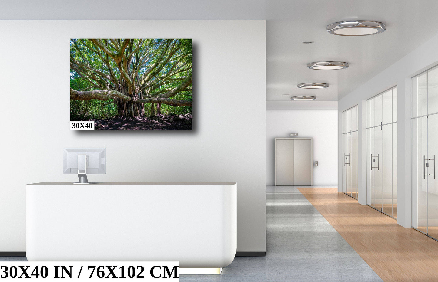 Banyan Tree Photography - Haleakala National Park Maui Nature Prints | Tropical Wall Art