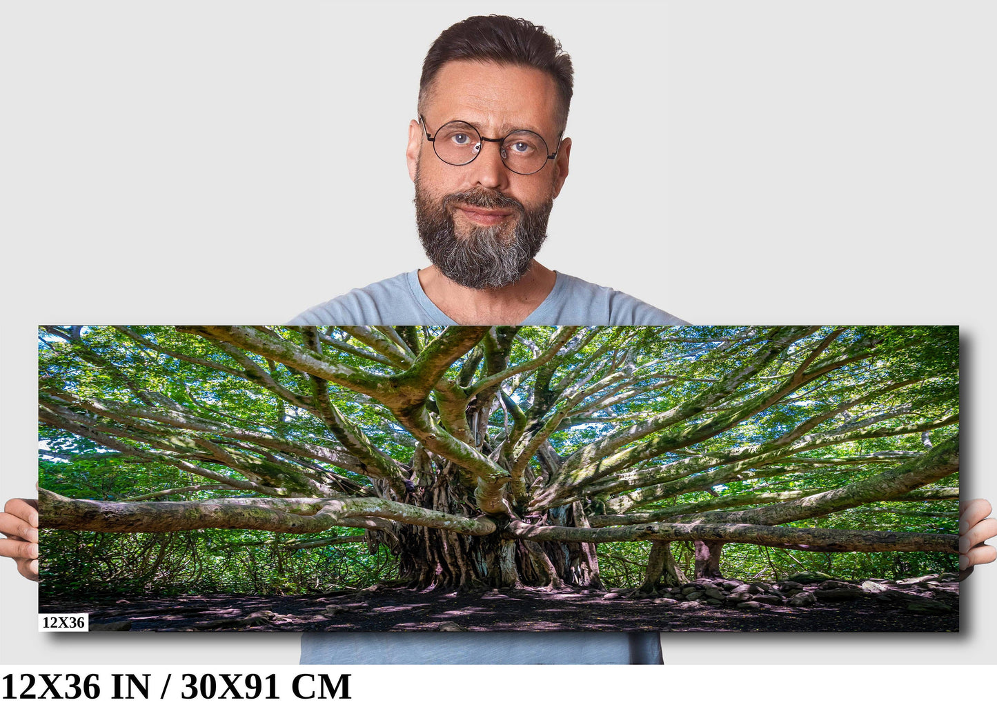 Banyan Tree Photography - Haleakala National Park Maui Nature Prints | Tropical Wall Art