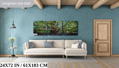 Banyan Tree Photography - Haleakala National Park Maui Nature Prints | Tropical Wall Art