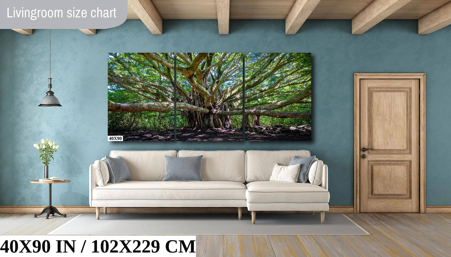 Banyan Tree Photography - Haleakala National Park Maui Nature Prints | Tropical Wall Art