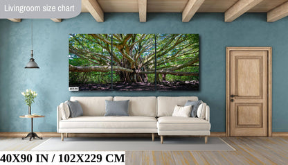 Banyan Tree Photography - Haleakala National Park Maui Nature Prints | Tropical Wall Art