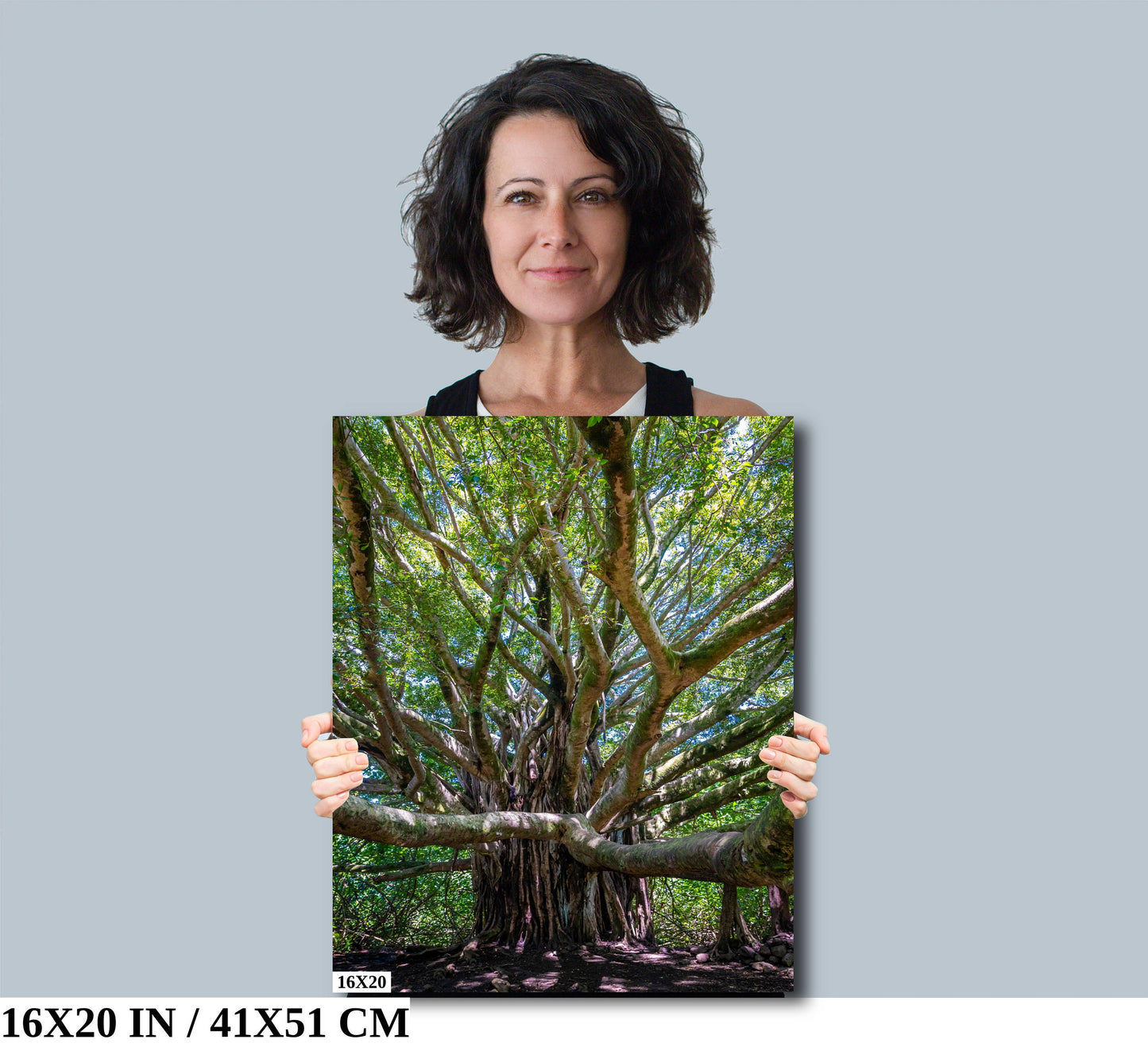 Roots of Time - Banyan Tree in Haleakala National Park Photography Maui Nature Canvas Print Hawaii Landscape