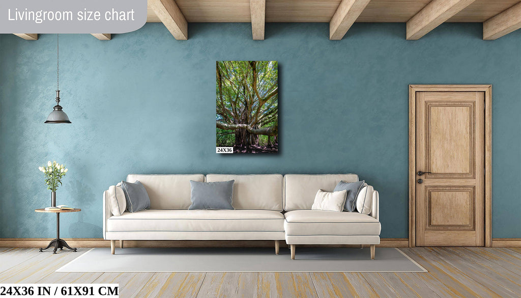 Roots of Time - Banyan Tree in Haleakala National Park Photography Maui Nature Canvas Print Hawaii Landscape