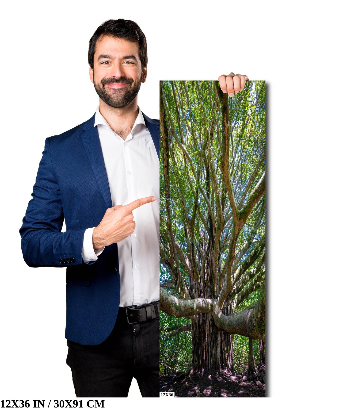 Roots of Time - Banyan Tree in Haleakala National Park Photography Maui Nature Canvas Print Hawaii Landscape