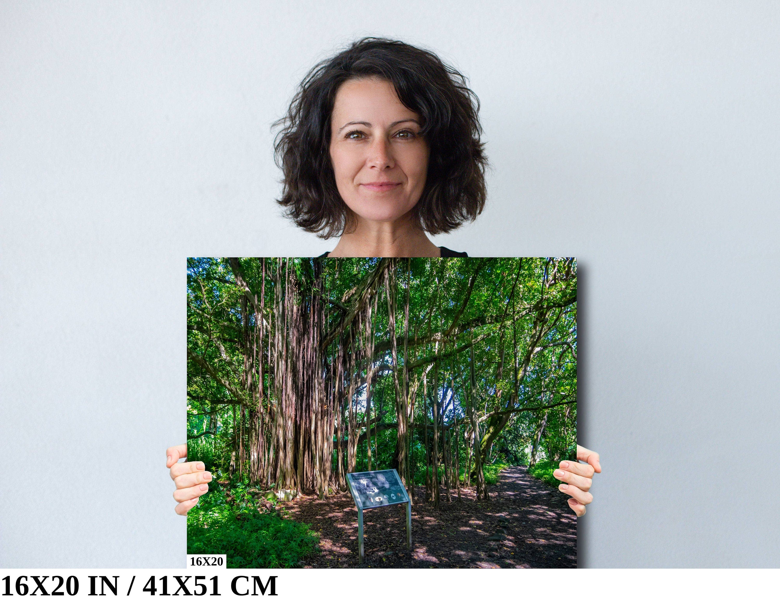 Maui Banyan Tree Print: Haleakala National Park.