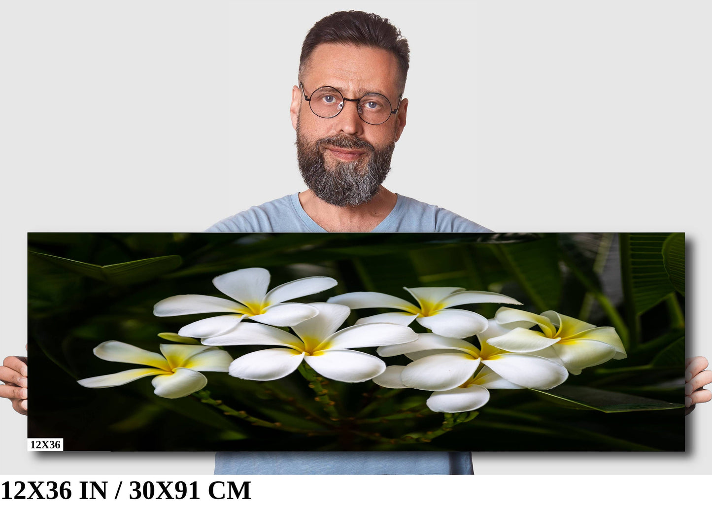 Blooms of Eternity: Hawaiian White Plumeria Flower Photography Wall Art Nature Canvas Print