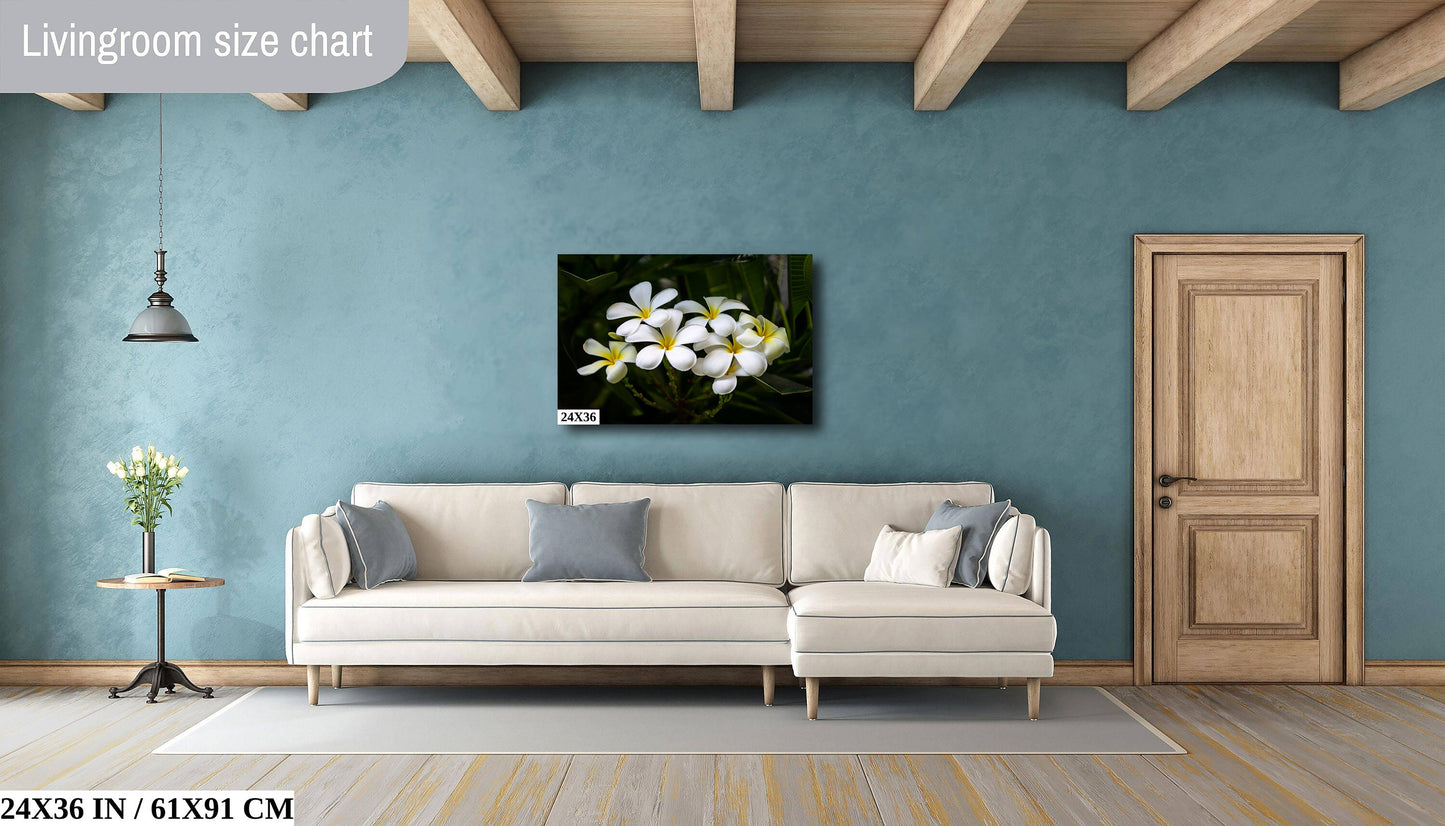 Blooms of Eternity: Hawaiian White Plumeria Flower Photography Wall Art Nature Canvas Print