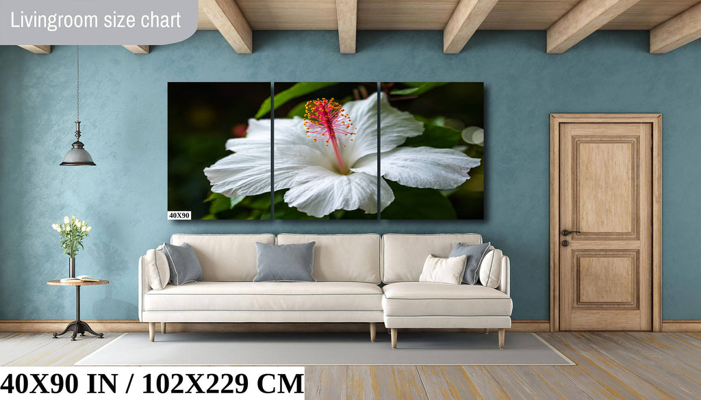 Enigmatic Blossoms: Hawaiian White Hibiscus Flower Photography Tropical Home Decor Maui Wall Art