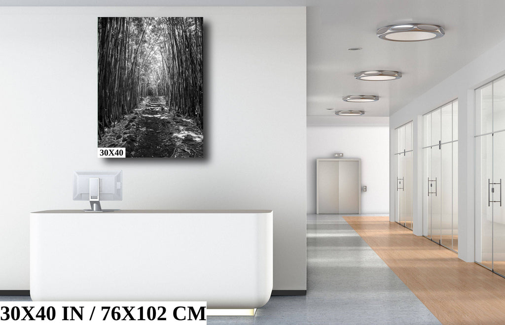 Pipiwai Trail Print: Bamboo Forest Stairs, Haleakala Maui Art