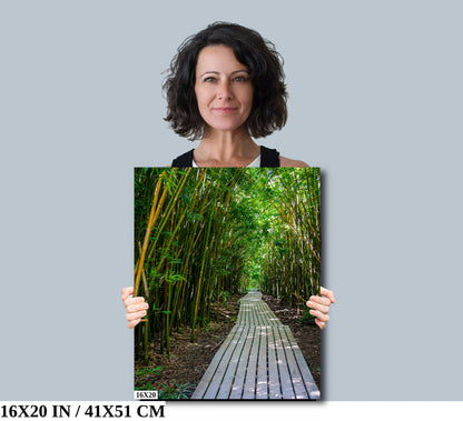 Bamboo Cathedrals: A Dramatic Walk Along Pipiwai Trail in Haleakala Maui Hawaii Wall Art Canvas Print