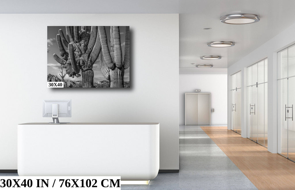 Saguaro Cactus American Southwest Landscape Desert Photography Wall Art