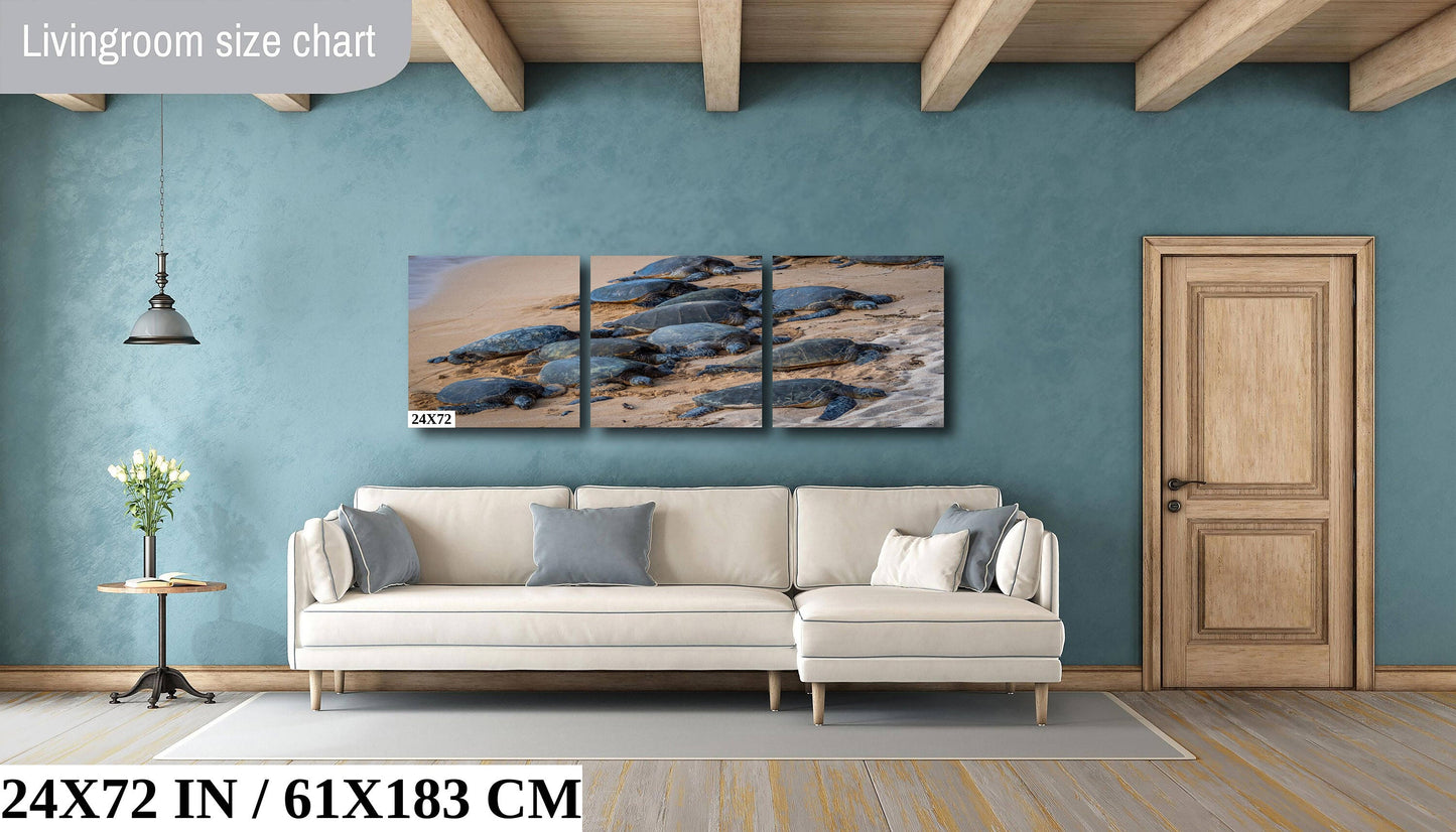 Bale of Turtles: Maui Hawaii Sea Turtles Photography Ocean Wildlife Wall Art Canvas Print