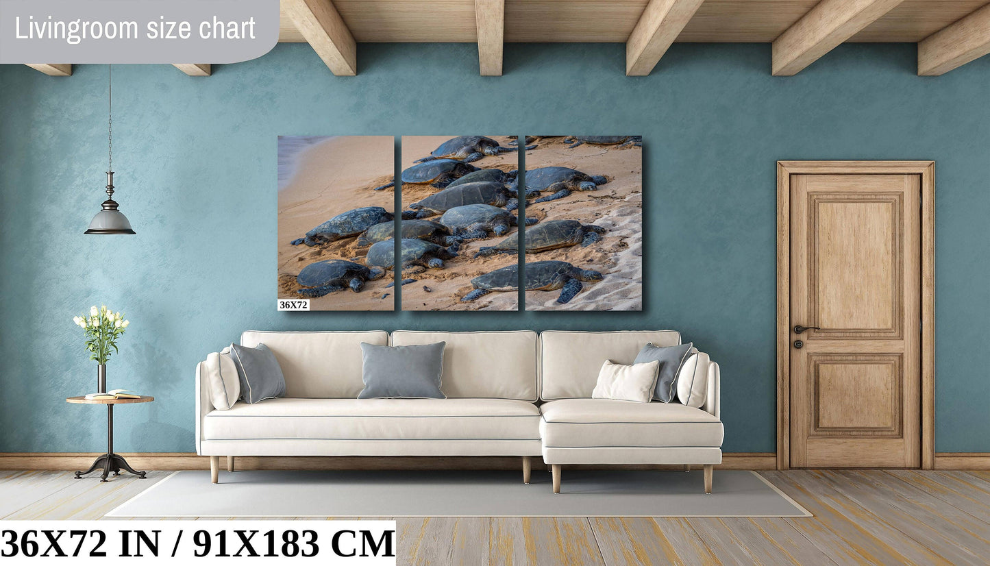 Bale of Turtles: Maui Hawaii Sea Turtles Photography Ocean Wildlife Wall Art Canvas Print