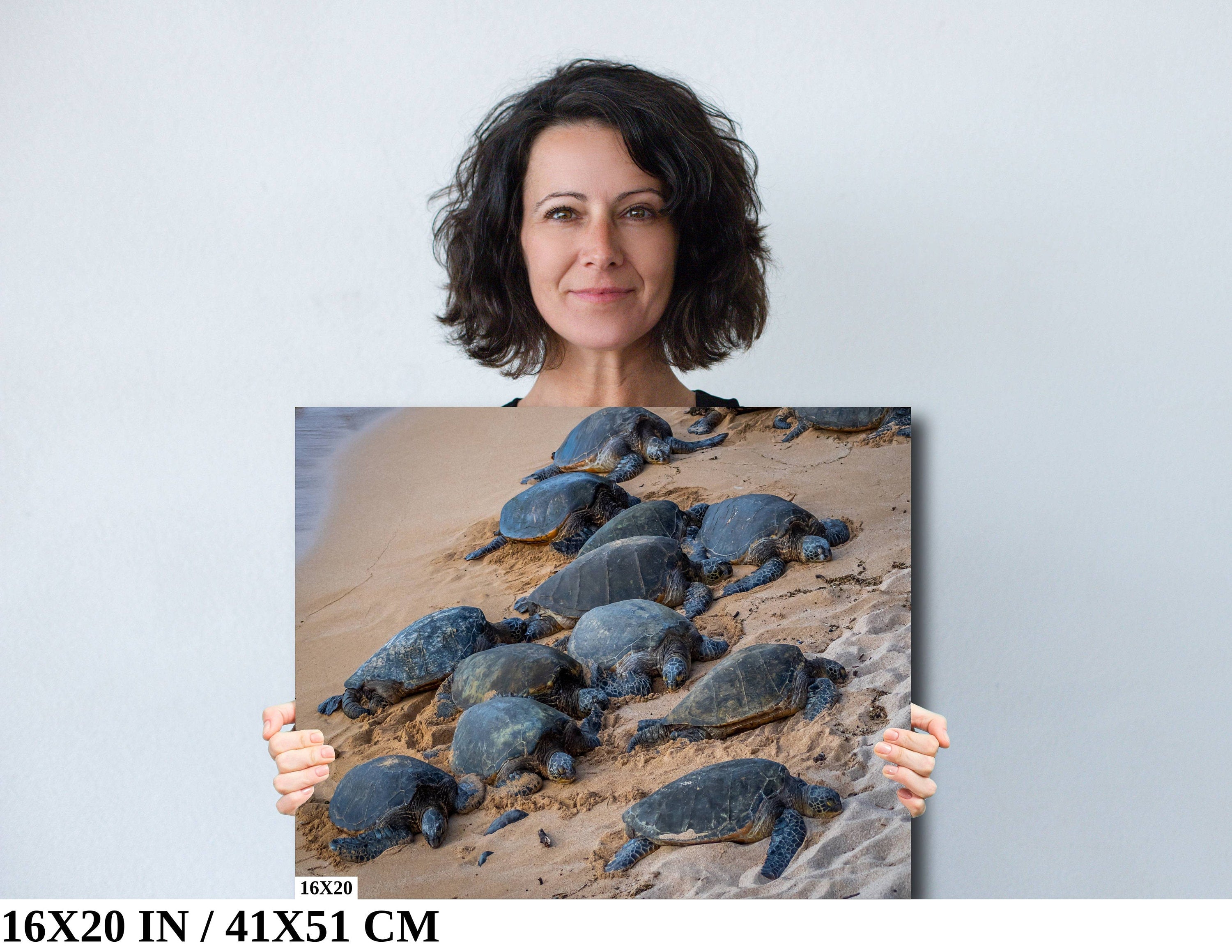 Bale of Turtles: Maui Hawaii Sea Photography Ocean Wildlife Wall Art Print