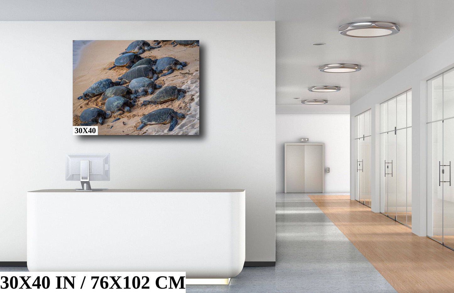 Bale of Turtles: Maui Hawaii Sea Turtles Photography Ocean Wildlife Wall Art Canvas Print