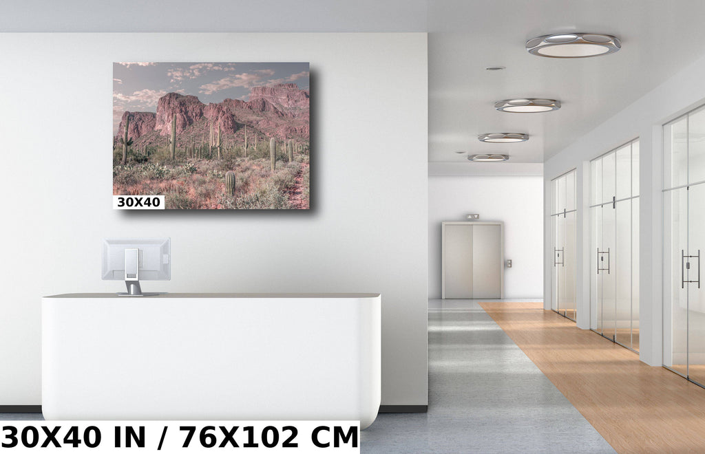 Enigmatic Wilderness Wonders: Superstition Mountains Cactus Desert Arizona Wall Art