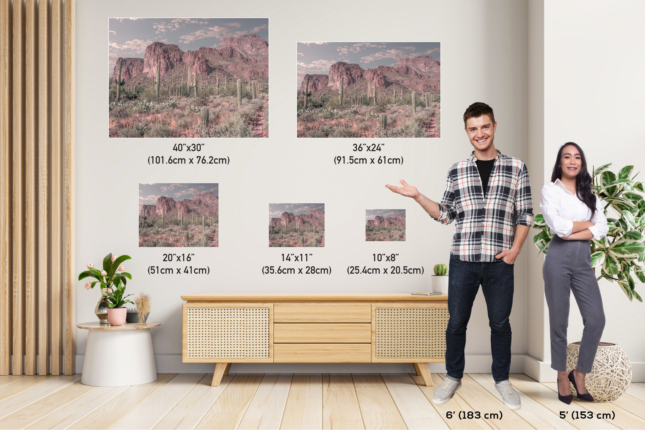 Enigmatic Wilderness Wonders: Superstition Mountains Cactus Desert Arizona Wall Art