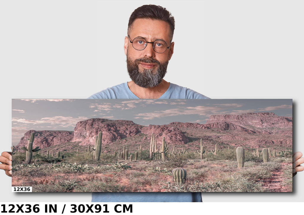 Enigmatic Wilderness Wonders: Superstition Mountains Cactus Desert Arizona Wall Art