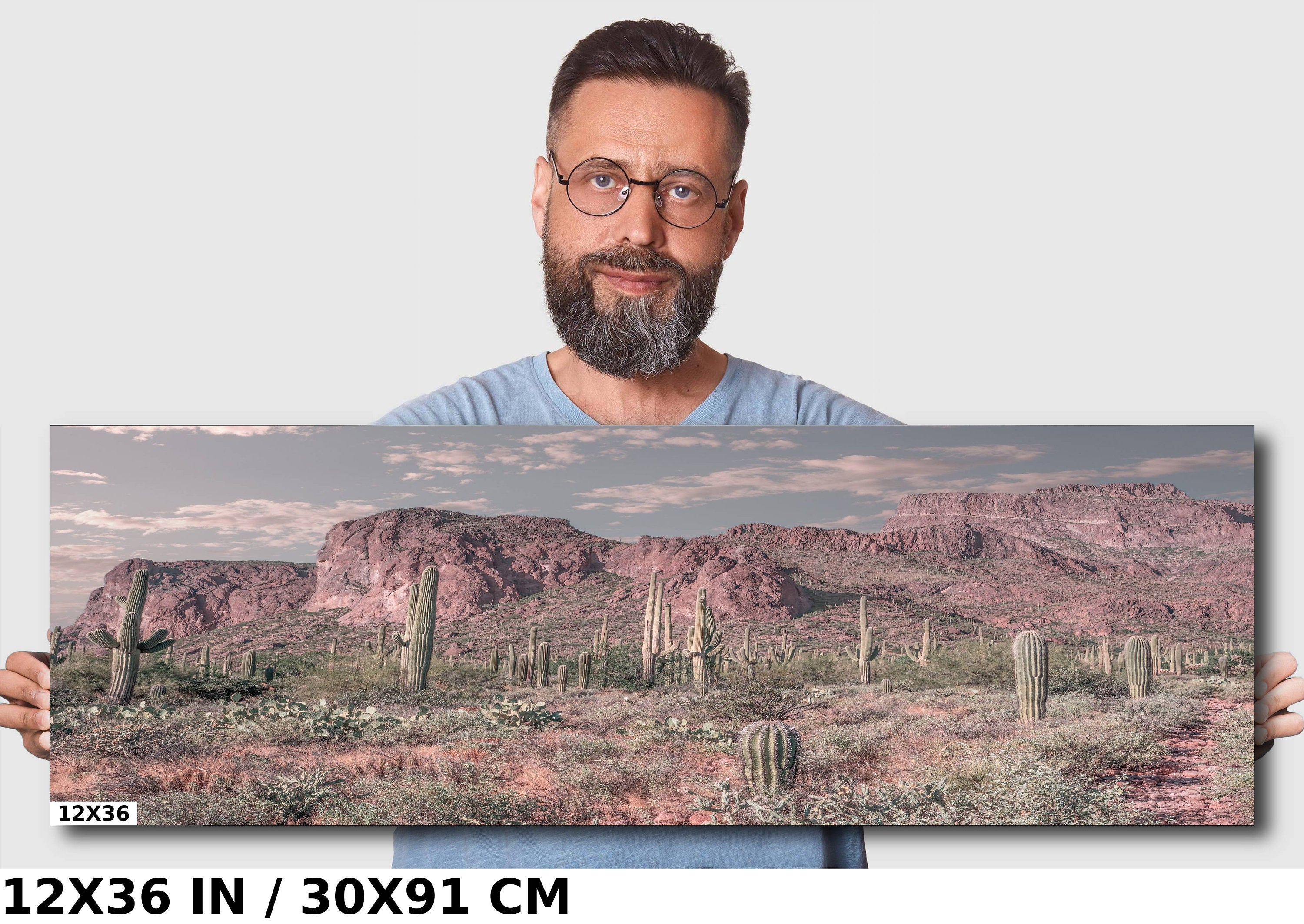 Enigmatic Wilderness Wonders: Superstition Mountains Cactus Desert Arizona Wall Art