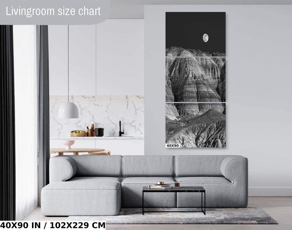 Timeless Natural Beauty: Petrified Forest Arizona Portrait Photography Wall Art