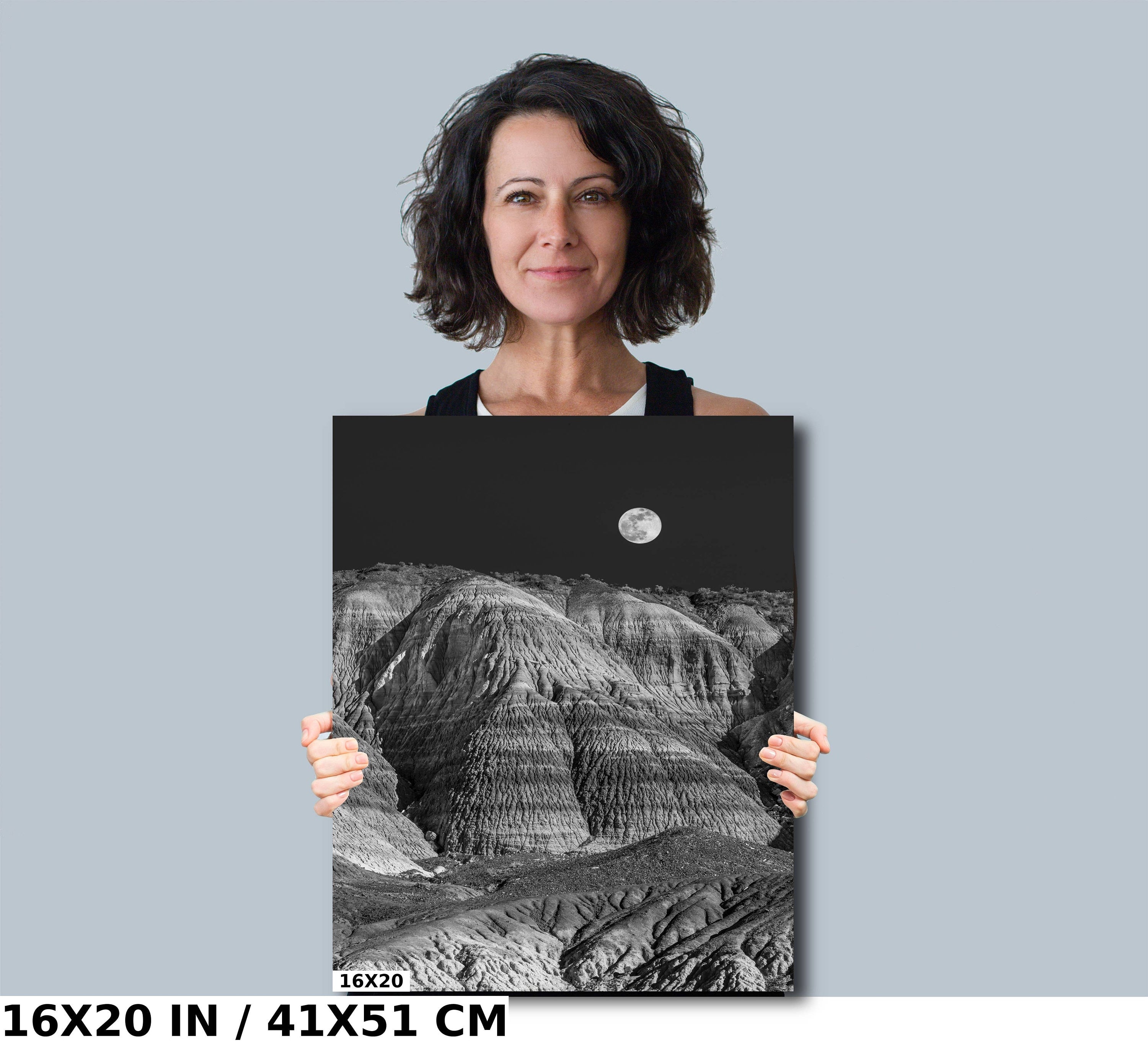 Timeless Natural Beauty: Petrified Forest Arizona Portrait Photography Wall Art