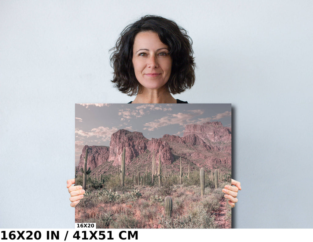 Enigmatic Wilderness Wonders: Superstition Mountains Cactus Desert Arizona Wall Art