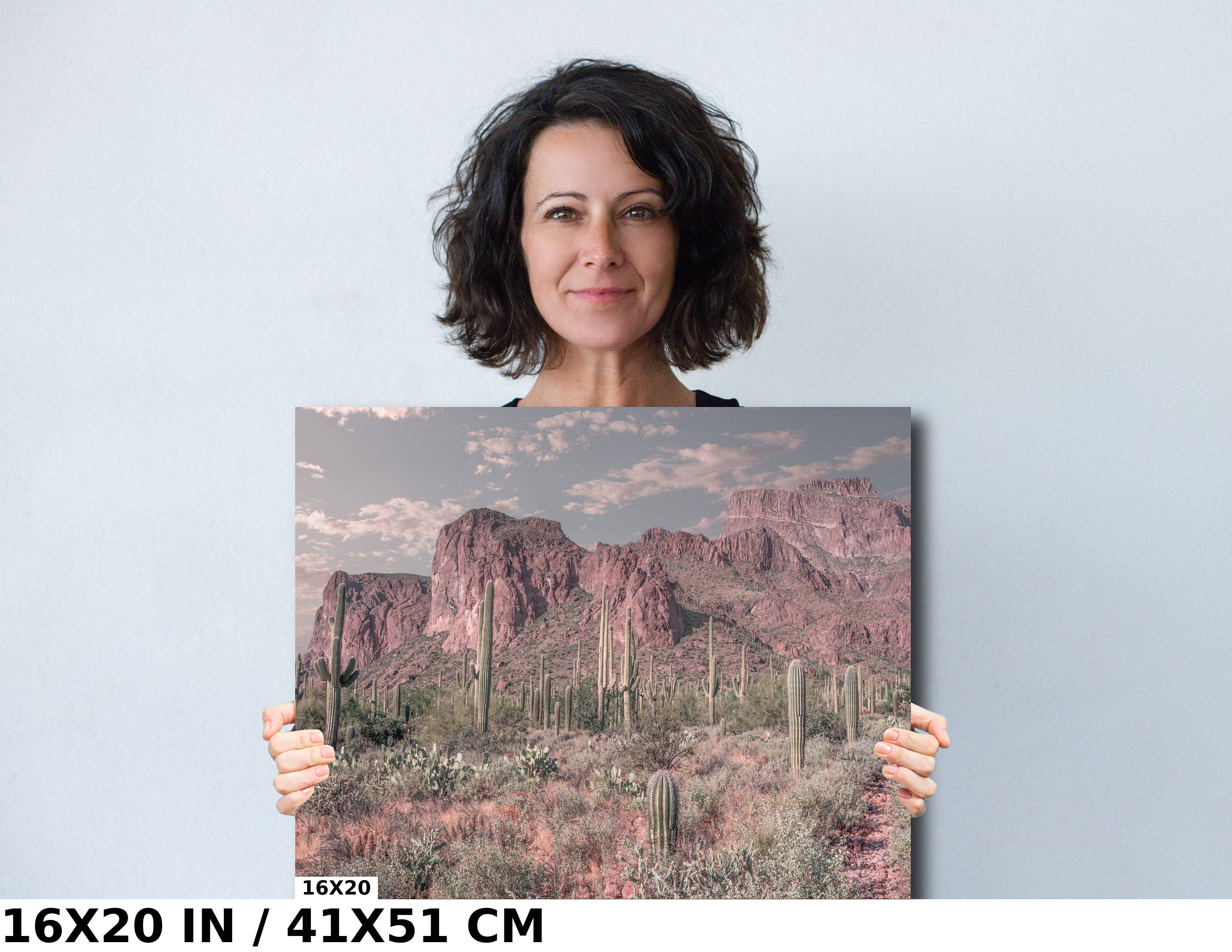Enigmatic Wilderness Wonders: Superstition Mountains Cactus Desert Arizona Wall Art