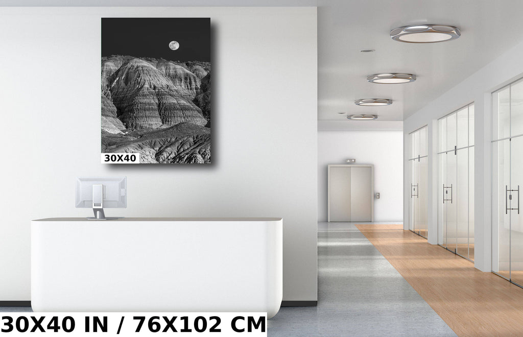 Timeless Natural Beauty: Petrified Forest Arizona Portrait Photography Wall Art