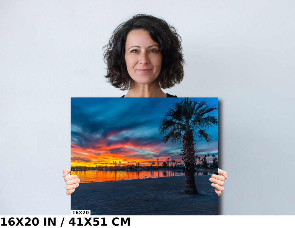 Lake Havasu Sunset Palm Tree Photography: Beach Wall Art