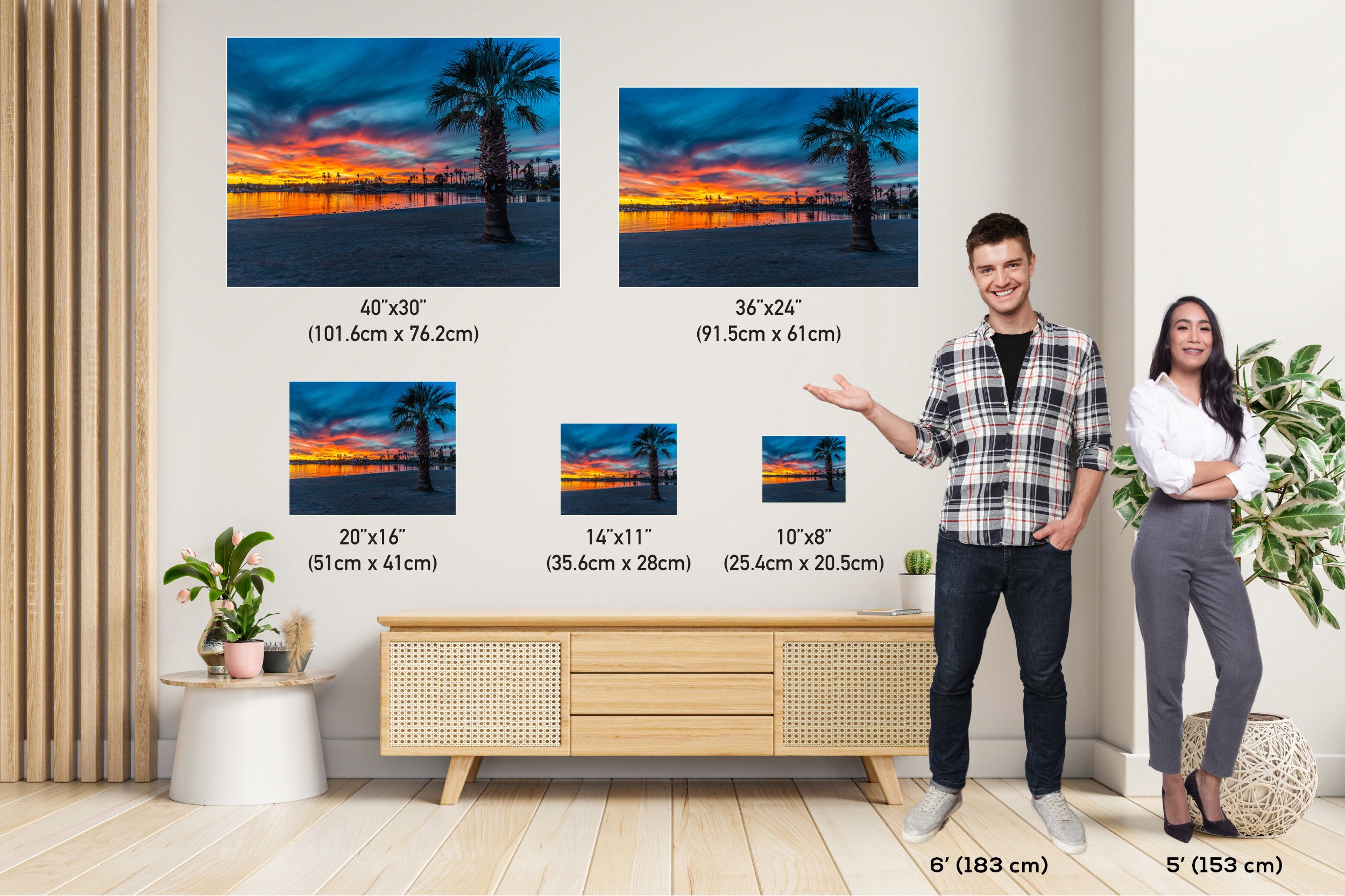 Lake Havasu Sunset Palm Tree Photography: Beach Wall Art