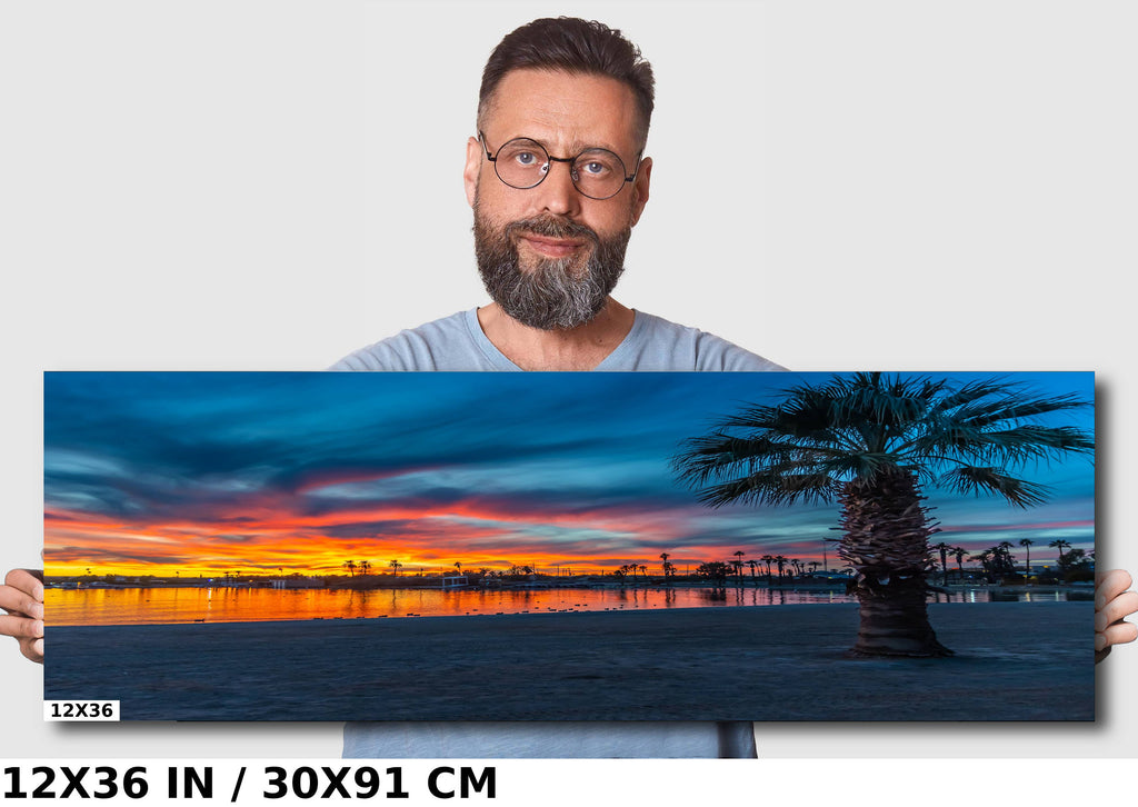 Lake Havasu Sunset Palm Tree Photography: Beach Wall Art
