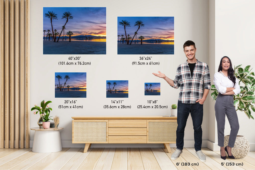 Lake Havasu Palm Tree Sunset: Arizona Landscape Photography Wall Art