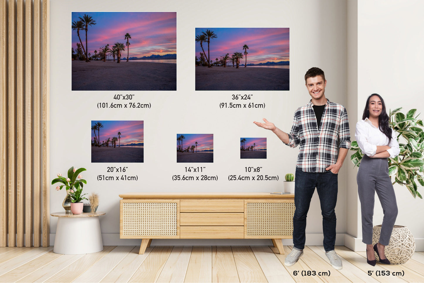 Lake Havasu Palm Tree Sunset: Arizona Beachfront Photography Wall Art