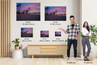 Lake Havasu Palm Tree Sunset: Arizona Beachfront Photography Wall Art