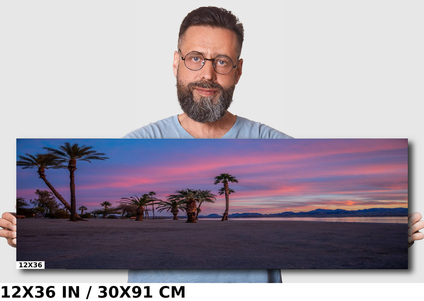 Lake Havasu Palm Tree Sunset: Arizona Beachfront Photography Wall Art