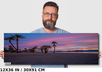 Lake Havasu Palm Tree Sunset: Arizona Beachfront Photography Wall Art