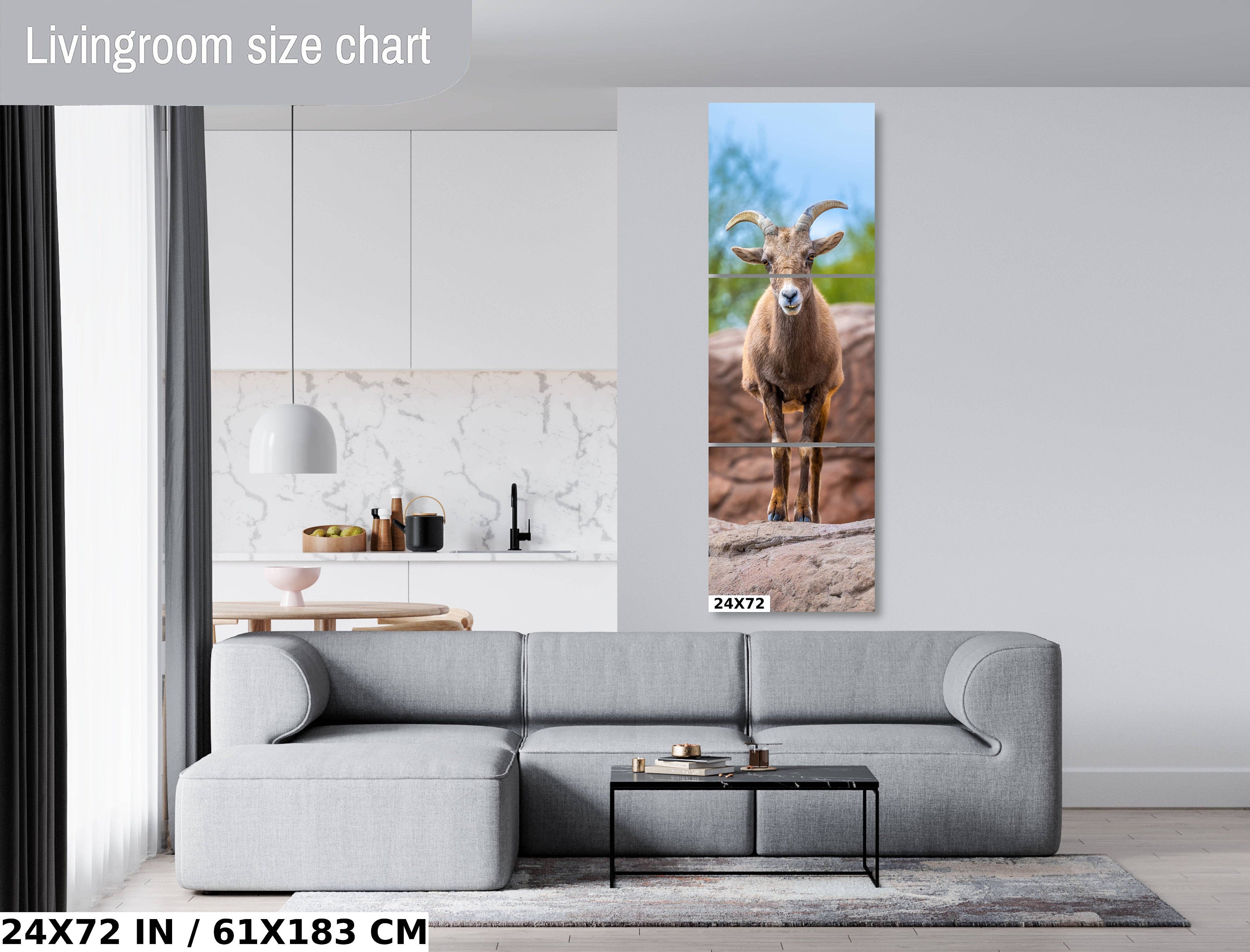 Resilient Horned Wanderer: Bighorn Sheep at the Sonoran Desert Photography Arizona Wildlife Aluminum Metal Print