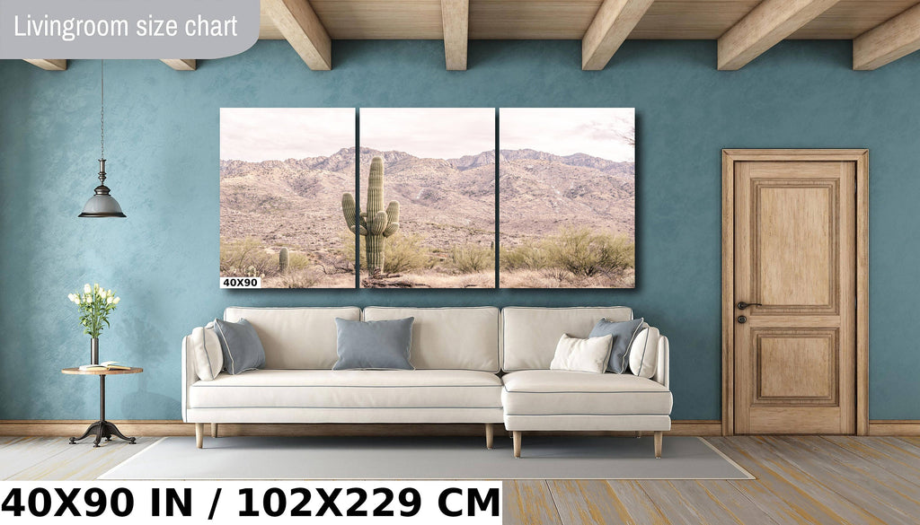 Saguaro Cactus Desert: Catalina Mountains Arizona Landscape