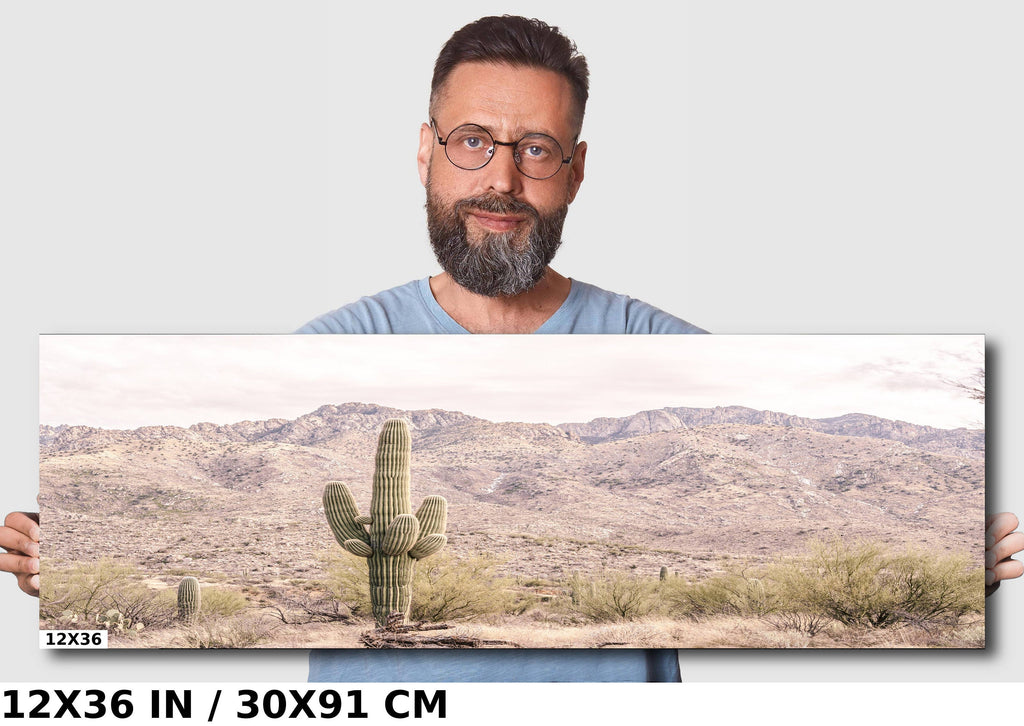 Saguaro Cactus Desert: Catalina Mountains Arizona Landscape