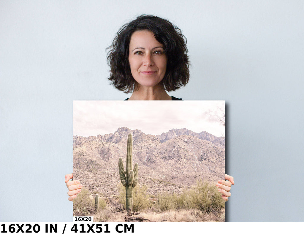 Saguaro Cactus Desert: Catalina Mountains Arizona Landscape