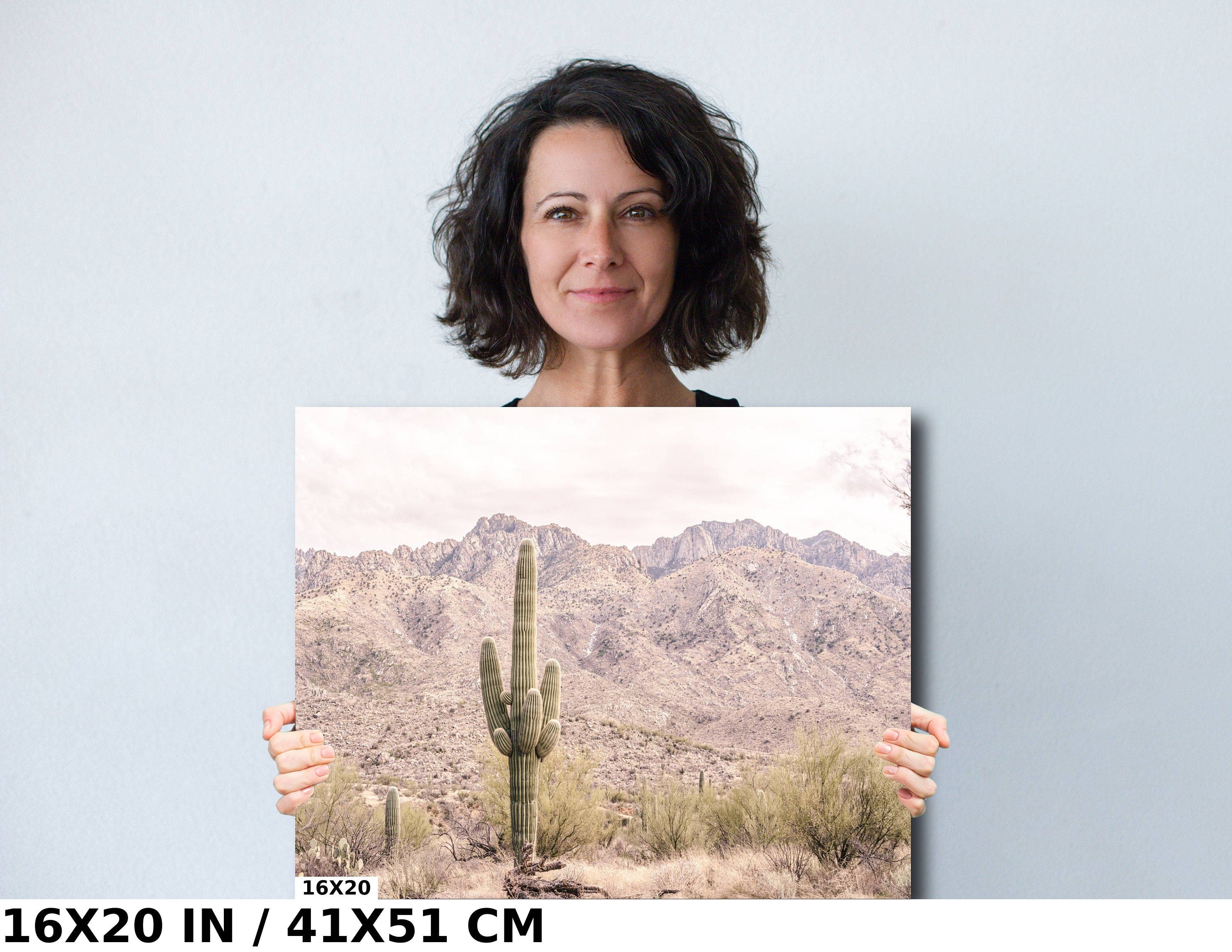 Saguaro Cactus Desert: Catalina Mountains Arizona Landscape