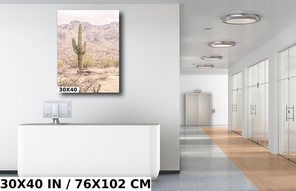 Saguaro Cactus: Catalina Mountains Arizona Southwestern Wall Art